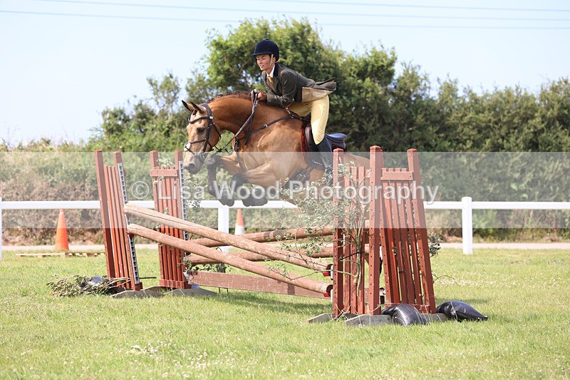 JPP_3737 - Class 23: Working Hunter 80cm