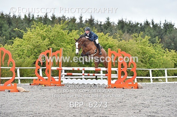 BPP_6273 - SUN CLASS 37 BR NOVICE/90CM