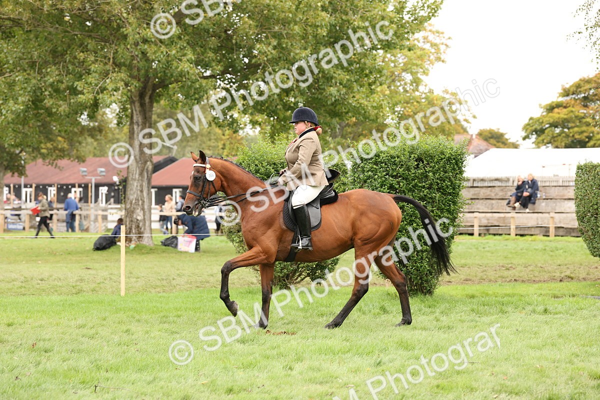 SBM_64259 - S65 - Riding Horse & Hack & Thoroughbred Ridden