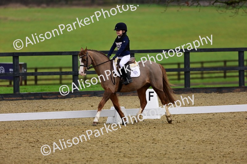 20260125-0664 - Class 9b - Walk Trot Unassisted