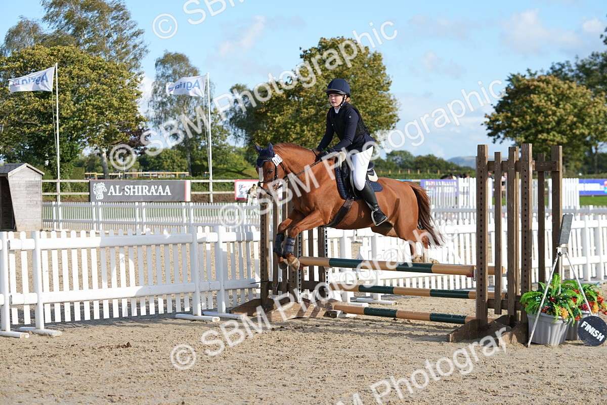 SBM_51002 - J8 - Junior Pony 65cm Championship