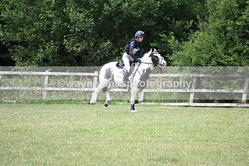 WJ6_6713 - 80cm XC Pairs