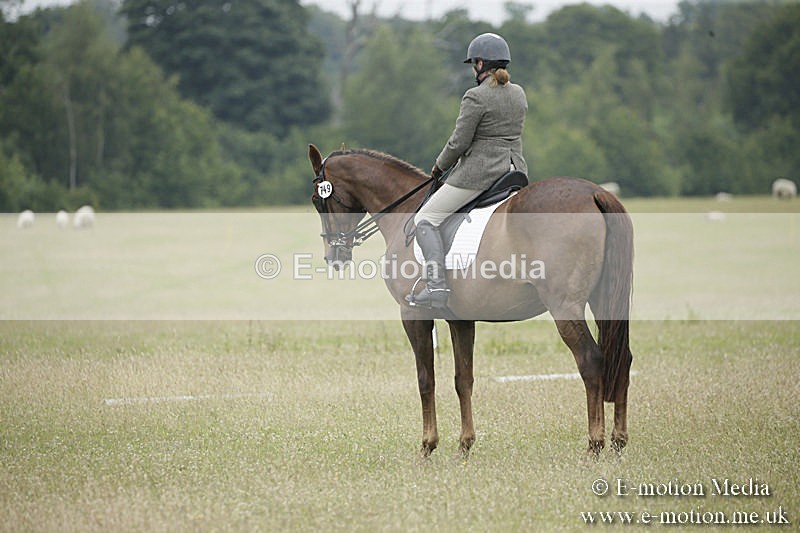 B230619-0787 - Bourne Valley Riding Club Summer Show 23/06/19