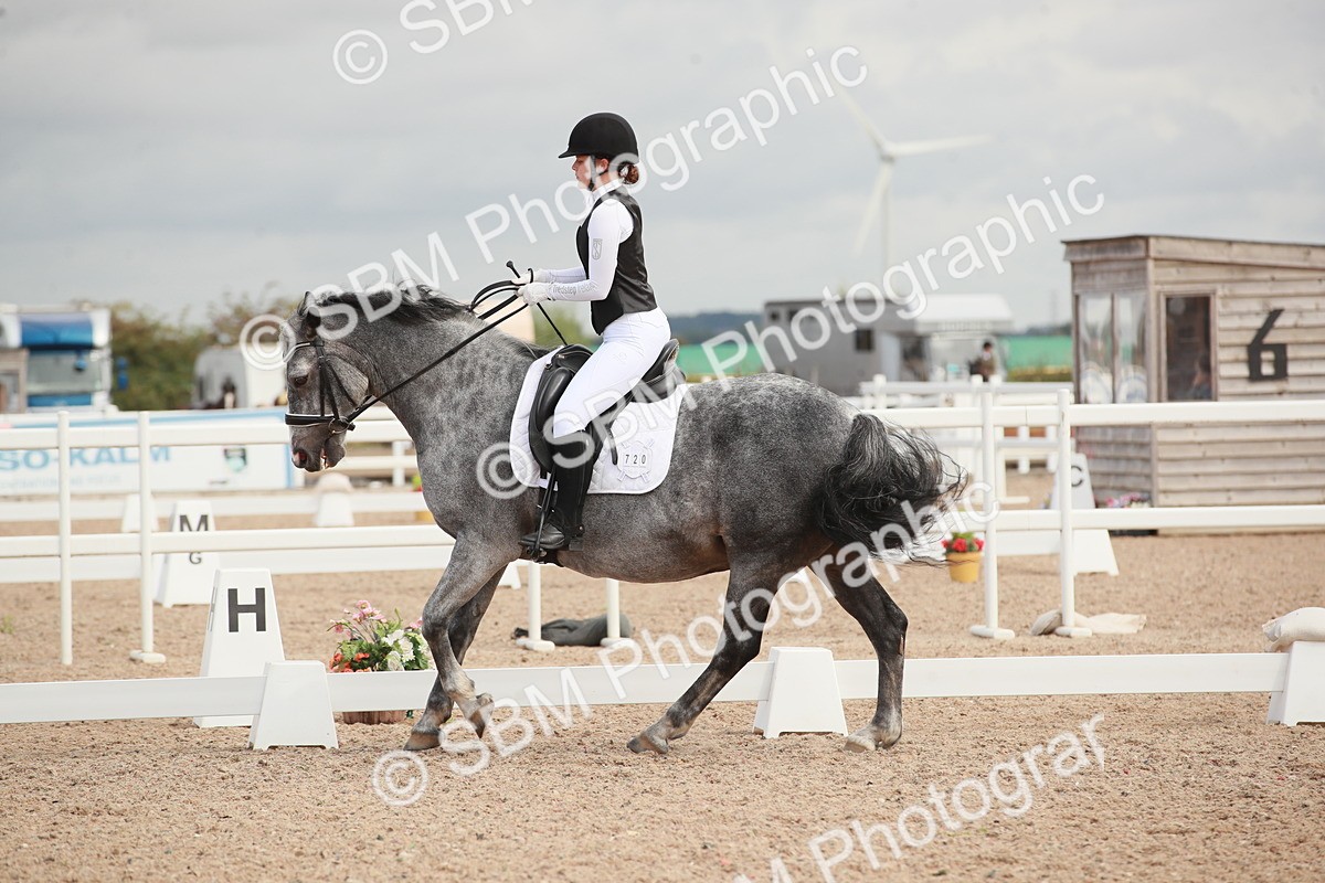 SBM_03938