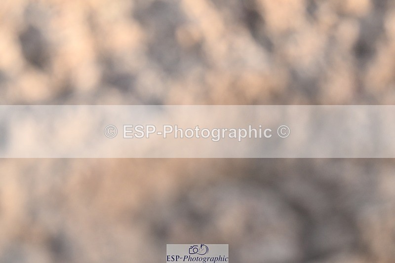 250125-104252-00225 - Dressage - CT Class 4 BE95 (80cm)