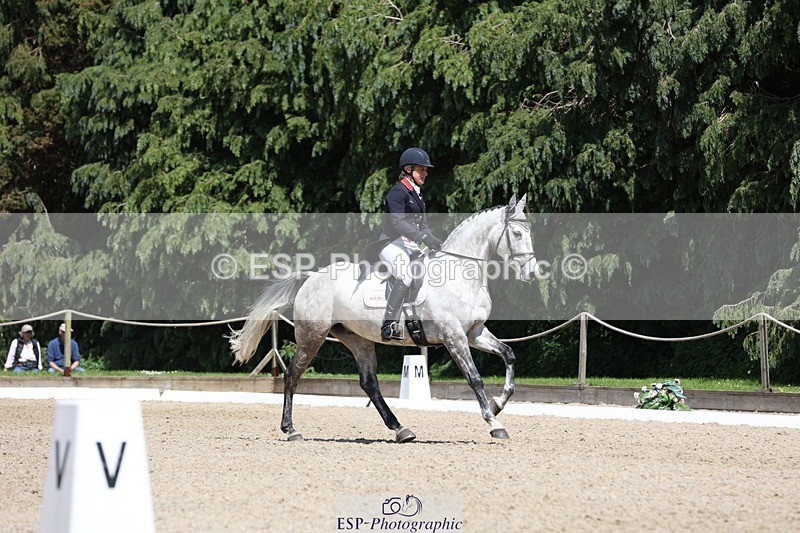 230526-133326-06346 - 366-KILMINGTON_FOLLY-Kristina_Cook-WEDTrotUp+DR