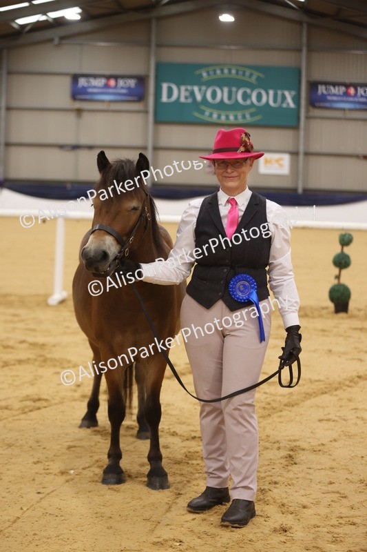 20260913-1071 - Class 109 - Bred On Exmoor In Hand