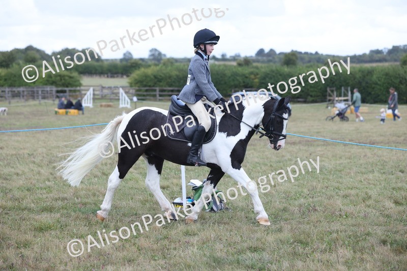 20250831-4214 - Class 20 - Ridden Coloured