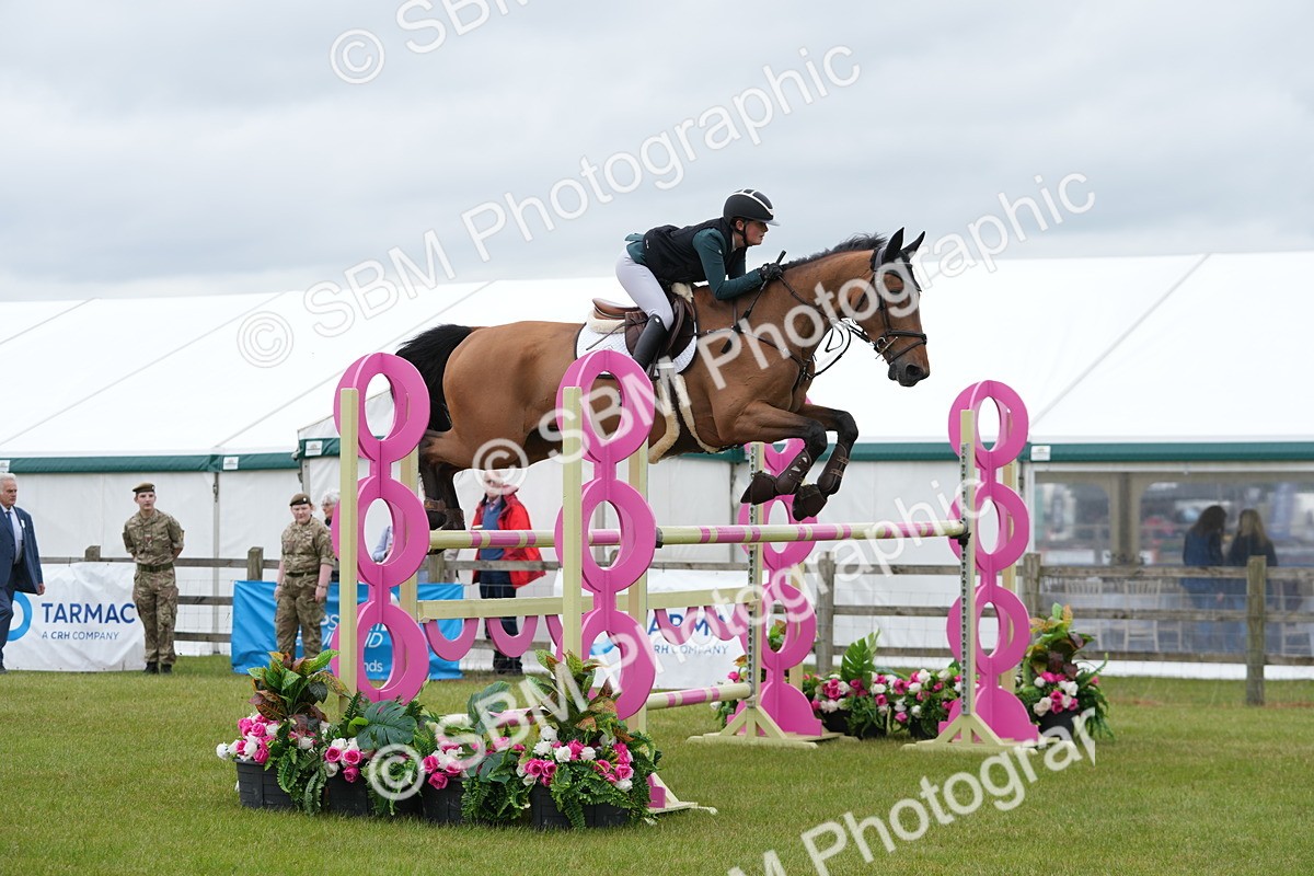 SBM_03489 - Class 201 - British Horse Feeds Speedi Beet Horse of the Year Show Grade  C