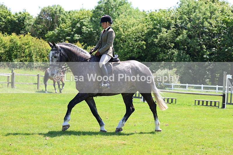 3E7A8309 - Class 13: Ridden Hunter
