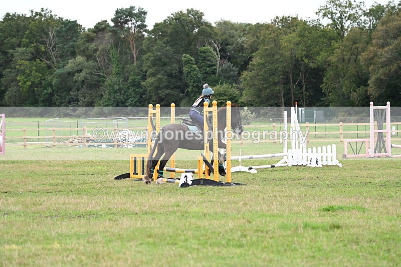 WJ6_0410 - 40cm Time 10:29 to 10:52