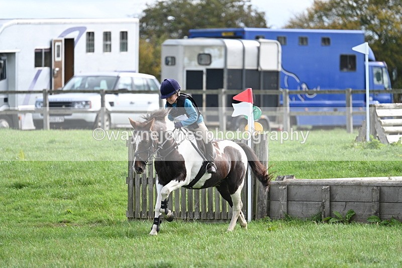 WJ7_8449 - 60cm Pairs