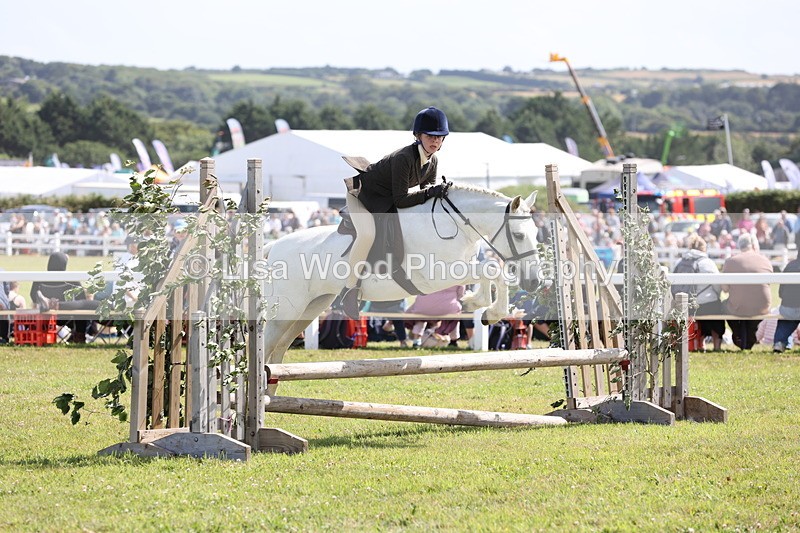 JPP_2239 - Class 19: Working Hunter 60cm