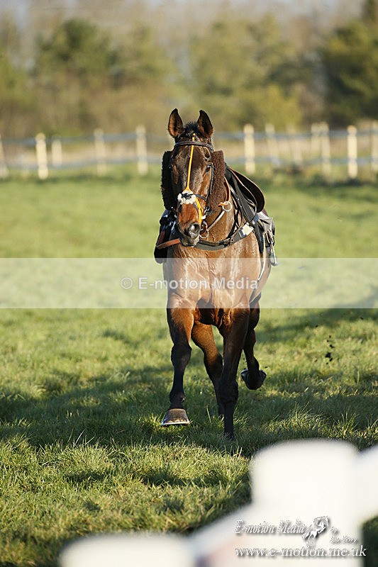 PtP 121220 641 - Avon Vale Races Larkhill 12/12/20