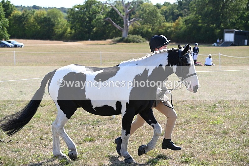 WJ6_7515 - Class 34 Judges Choice
