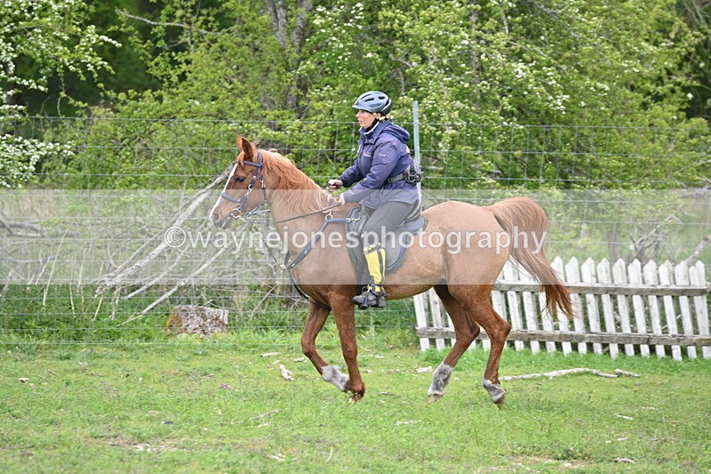WJ6_3226 - A camera