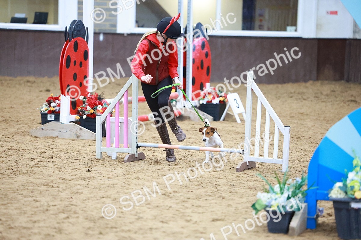 SBM_002102 - Class 3 - Horse & Hound (60cm)