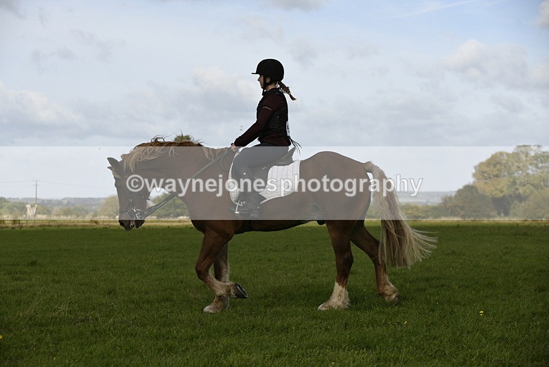 _DSC6117 - Time 11:23 to 12:05