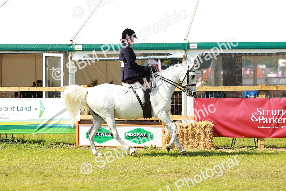 SBM_13158 - Class 70-71 - Side Saddle