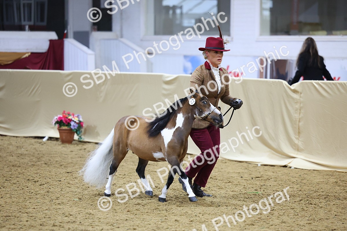 SBM_21035 - Class 902 - Supreme Final IH Veteran