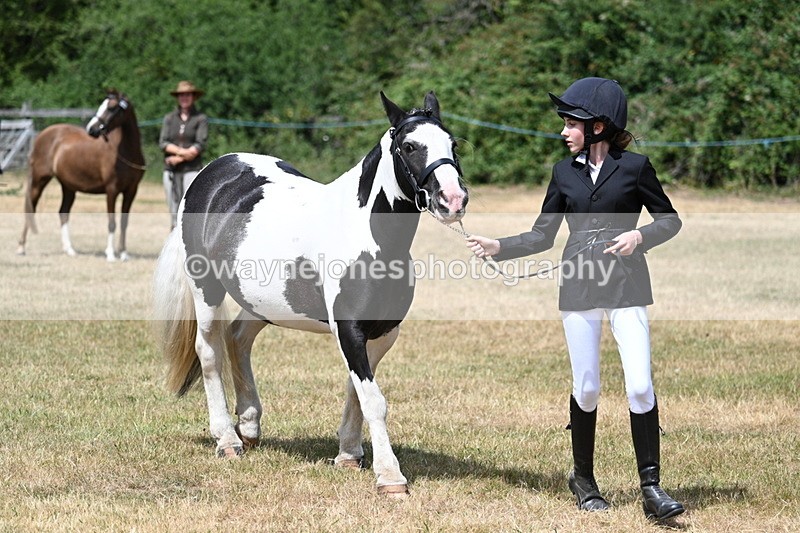 WJ7_1714 - Class 4 Prettiest Mare up to 14.2hh in hand