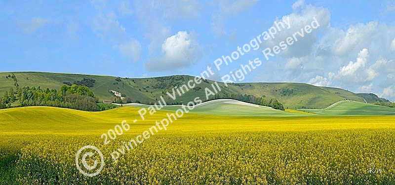 Rolling Downs - Iford - Sussex Downs
