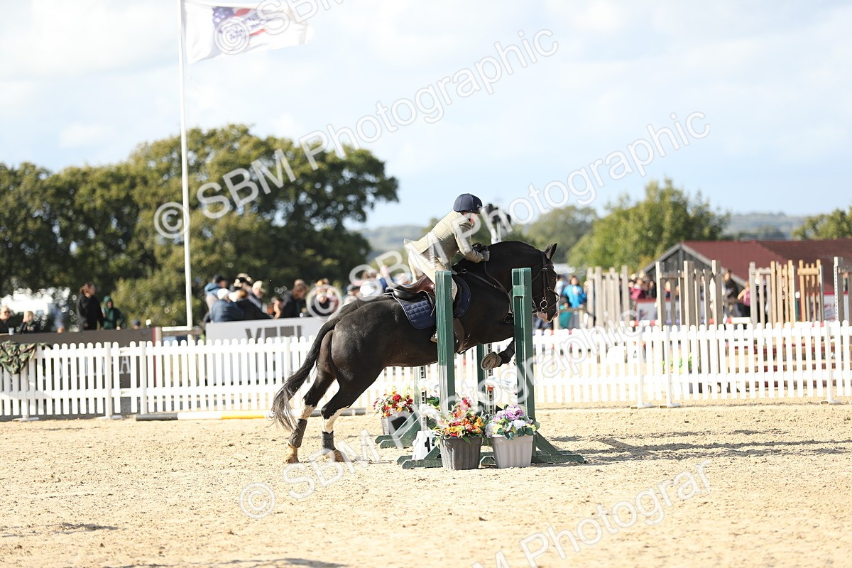 SBM_49579 - J22 - Junior Horse 65cm Championship
