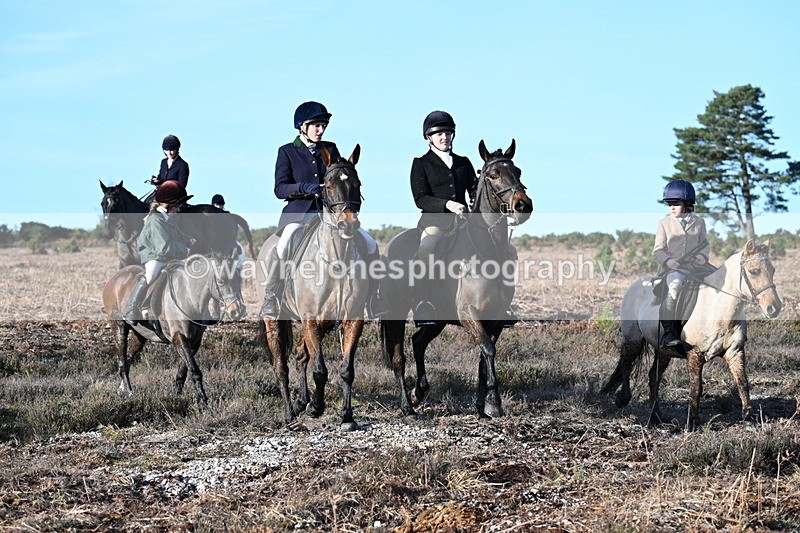 WJ7_7383 - Line 3 (no line 4 or 5)