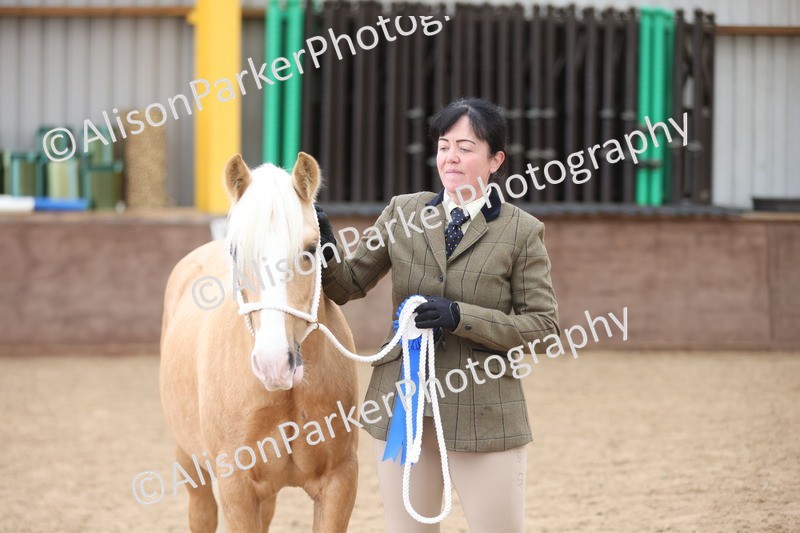 20251109-0866 - Class 25 - Yearling, Colt, Filly or Gelding