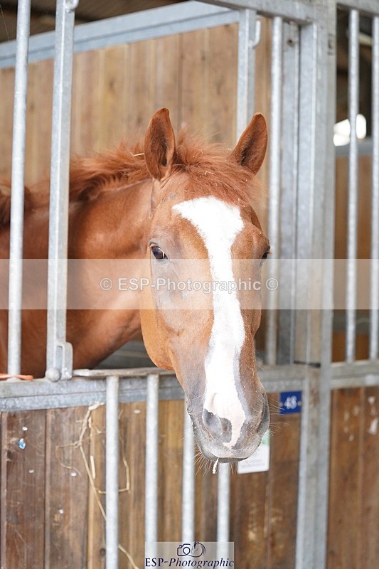 240809A-134612-01008 - Stable Shots