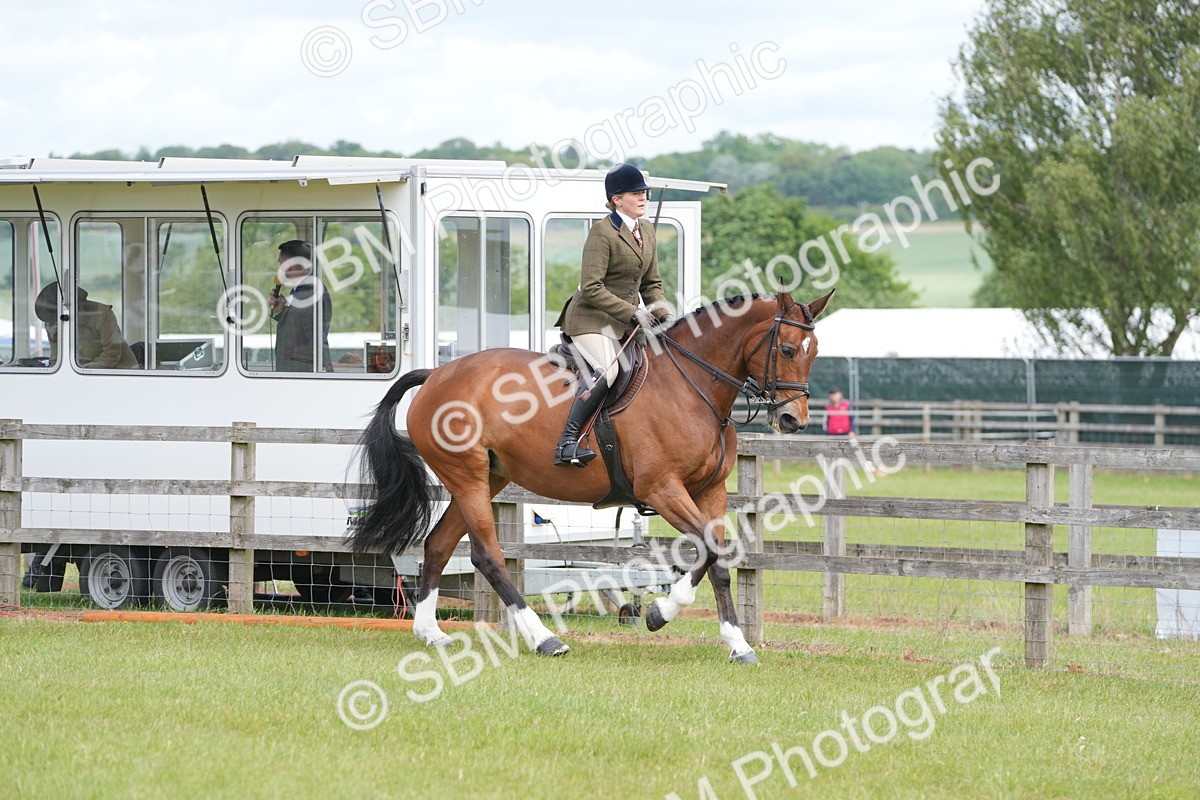 SBM_15007 - Class 100-102 - RIHS Working Hunter
