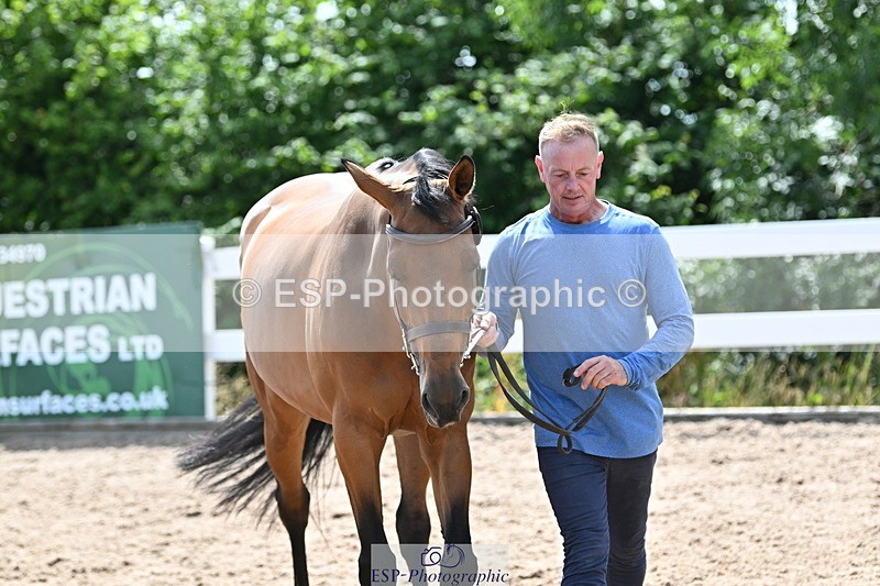 240717A-152424-02814 - Trot Up 3pm to 4pm