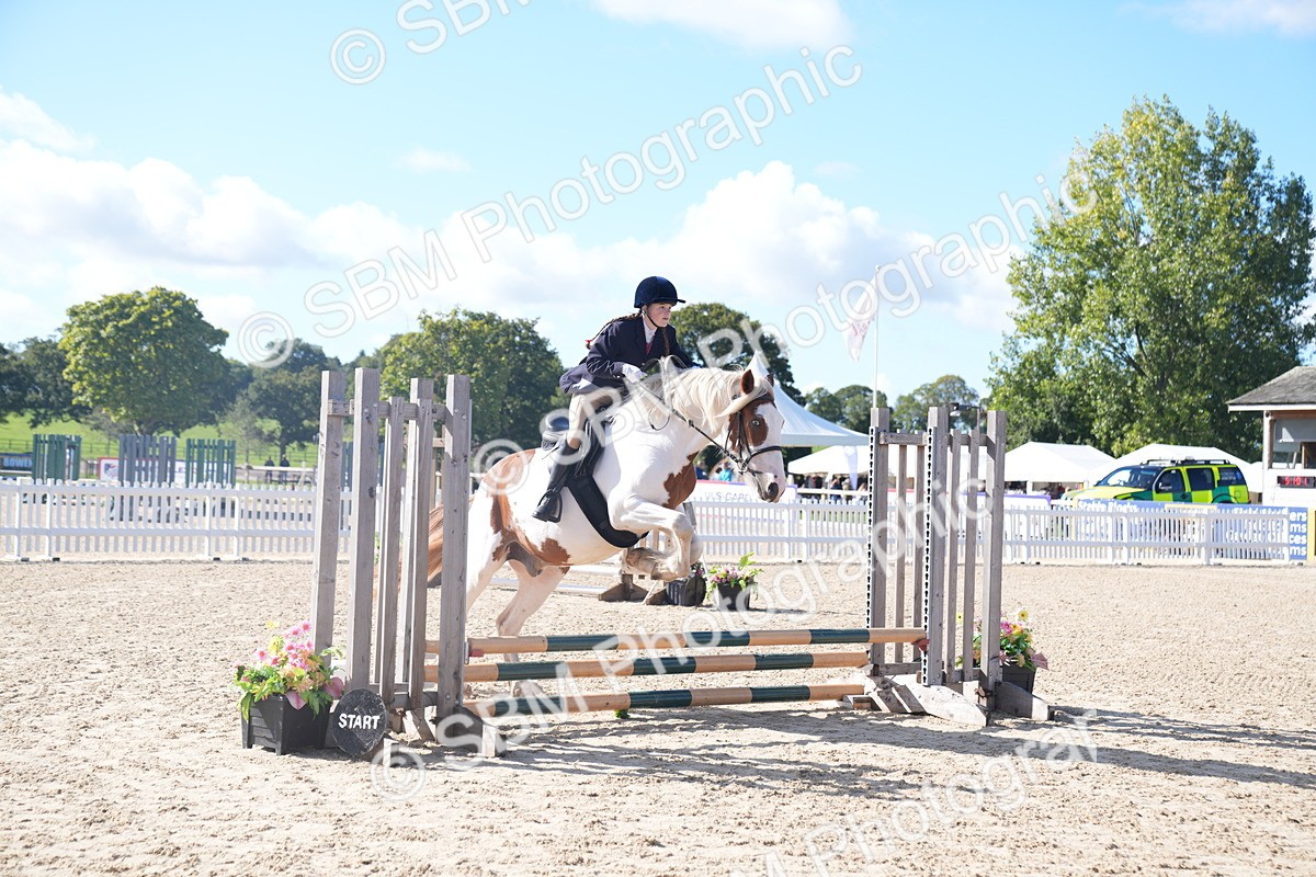 SBM_02392 - J54 Clear Round 45cm