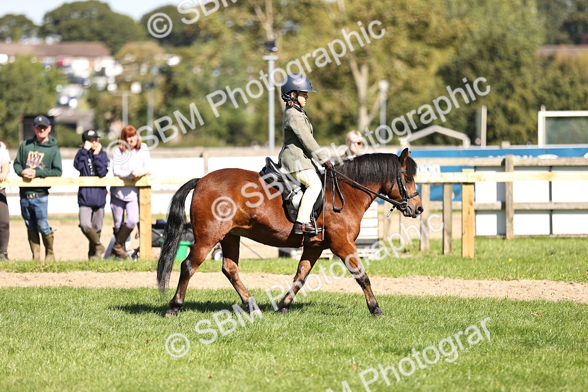 SBM_19338 - S3 - TSR Ridden Pony Showing