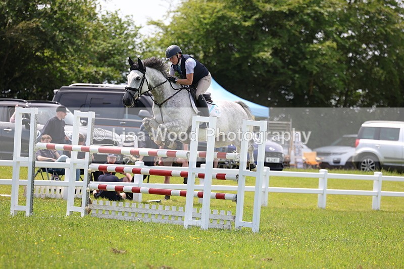 3E7A1400 - Class 12: Senior Foxhunter/1.20 open