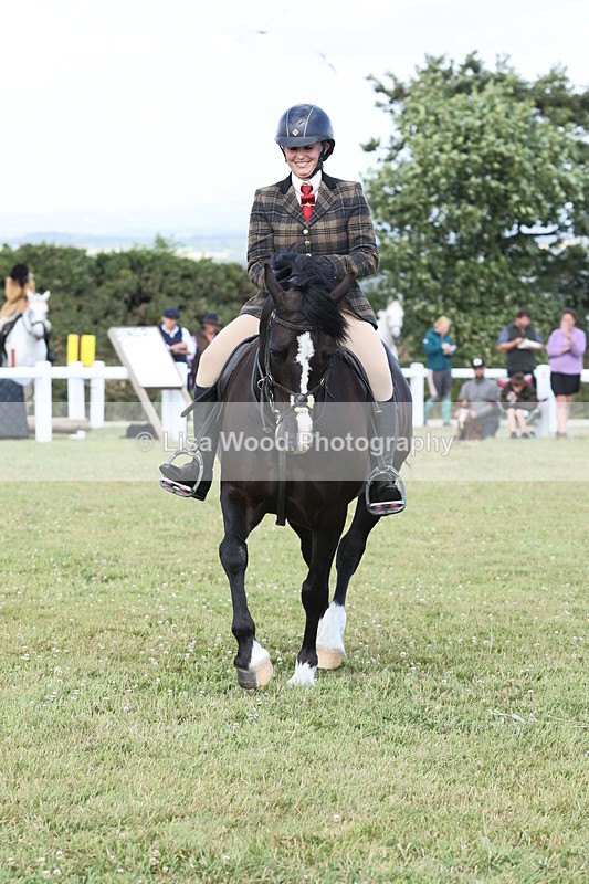 JPP_2364 - Class 19: Working Hunter 60cm