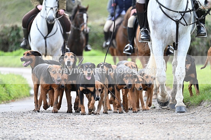 WJ7_9790 - Walk Home