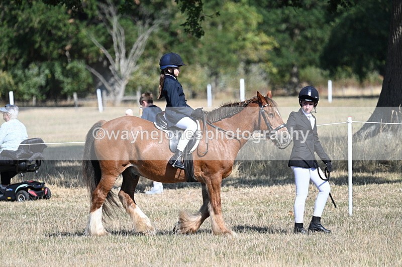 WJ7_3132 - Class 8 Ridden Tack & Turnout
