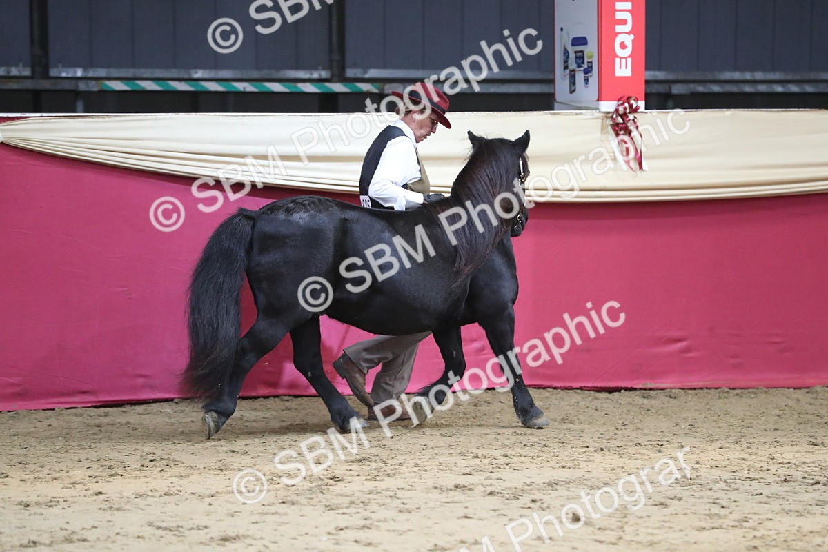 SBM_06265 - Class 9R Regional- IH Pre Vet
