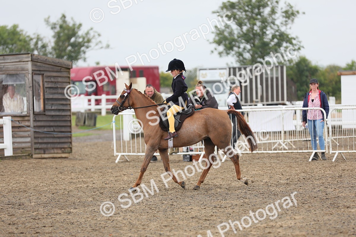 SBM_21794 - Class 806 - Young ridder 10 Yr & Under