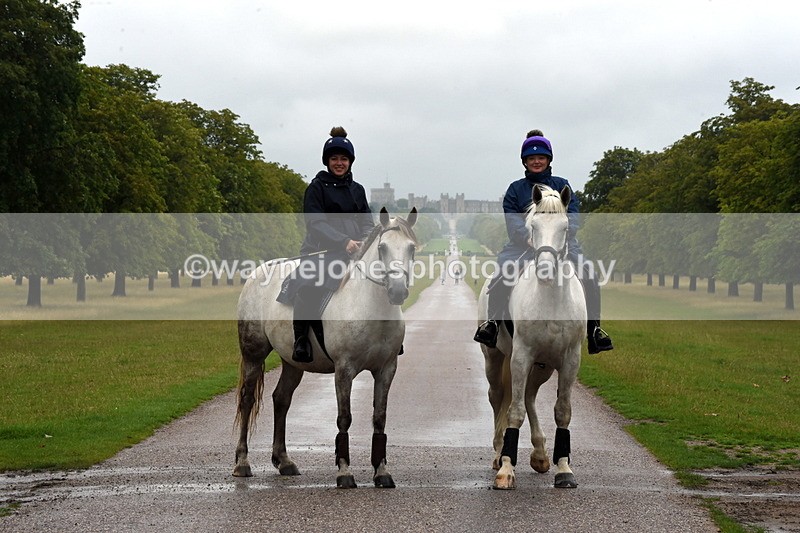 TT3_8173 - Time at Crossing 09:15 to 10:15