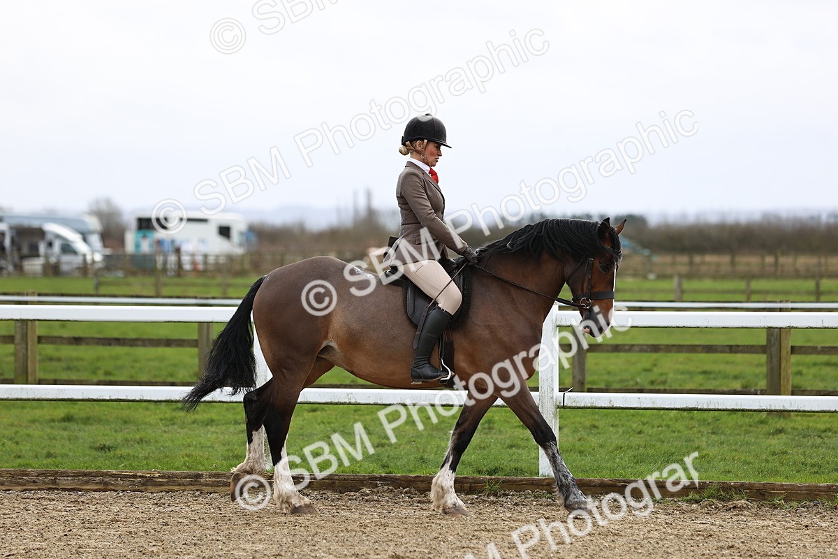 SBM_006888 - Class 29 - 30 - M&M Pure Novice Small-Large Breeds