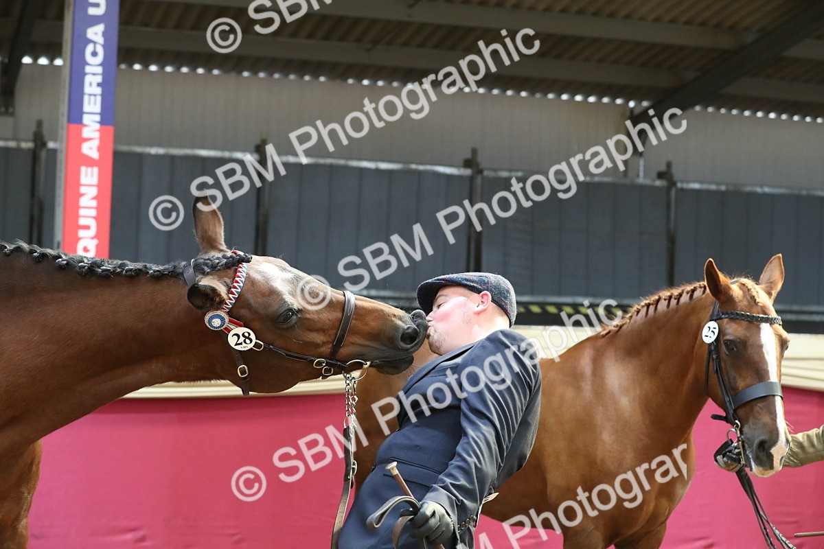 SBM_04435 - Class 7R Regional - IH Diamond