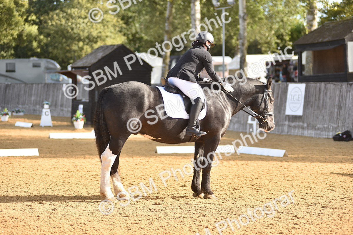 SBM_15789 - D4 - Small Tour Championship Intro 4