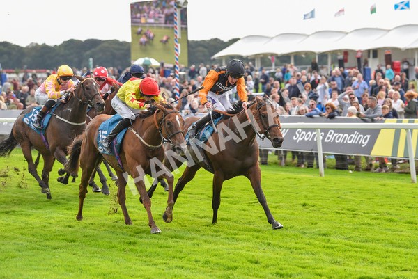 230923-Race 4-Aphelios-6497 - Race 4 3.45pm Jigsaw Sports Branding Handicap