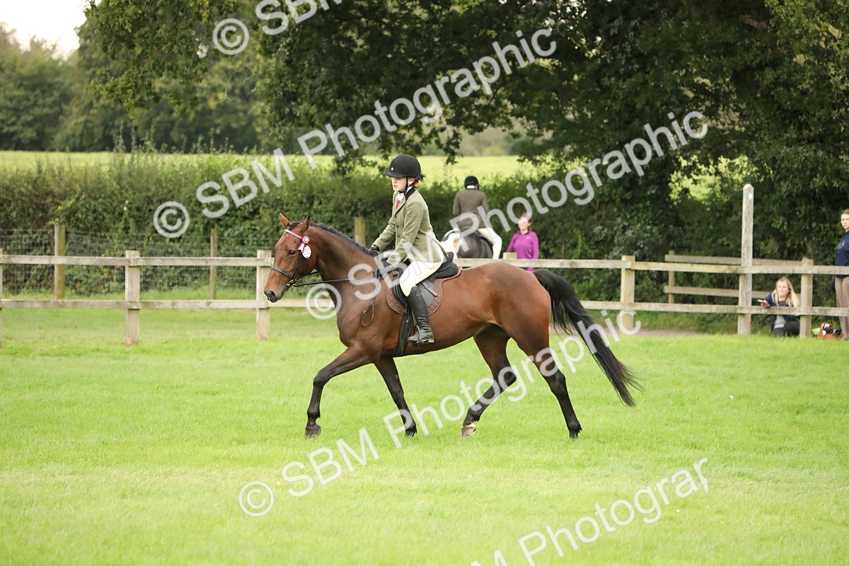 SBM_73716 - S41 - Ridden Equitation (Best Rider)