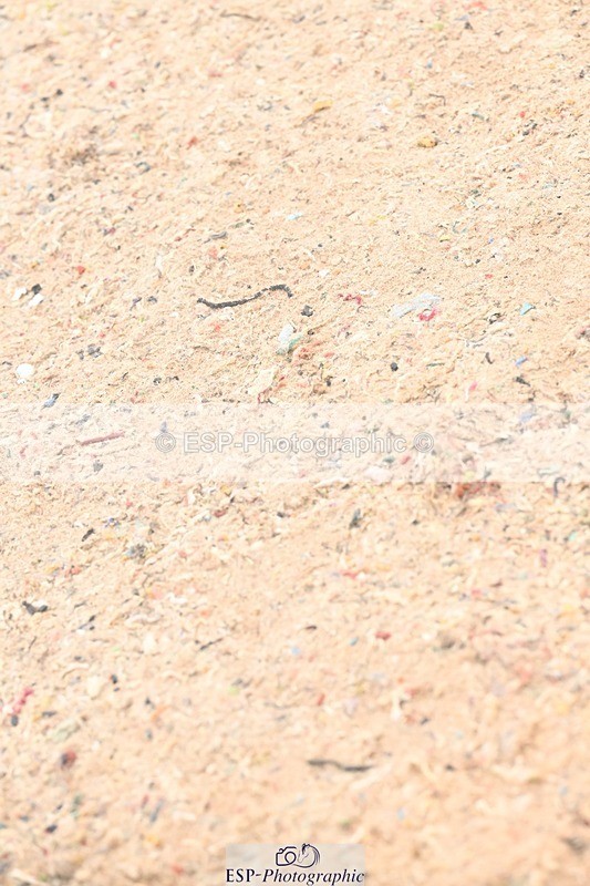 250914-132348-08729 - Cls 29+30 Newcomers and Fox