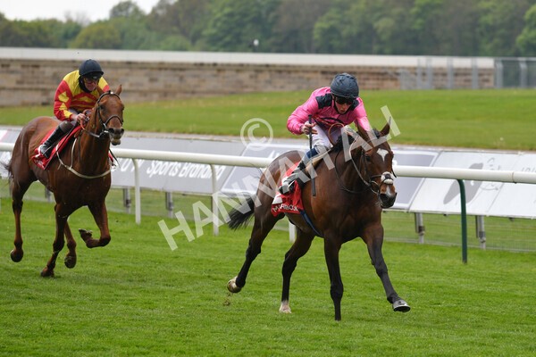 yr14052021r4-19 - Race 4 3.10pm The Matchbook Yorkshire Cup