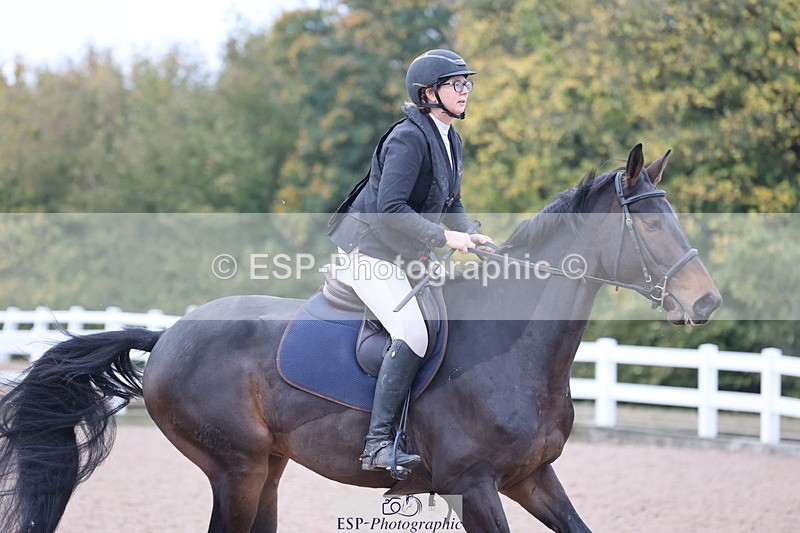 241101A-082213-00195 - FRI Cls 2 British Novice and 90cm Open