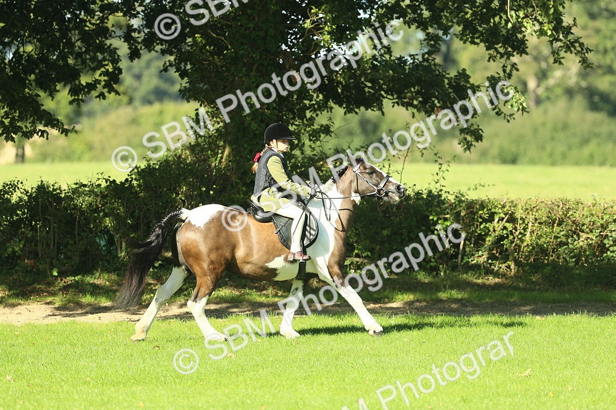 SBM_36518 - S29 - Novice & Newcomers Working Hunter Pony